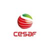 cesaf